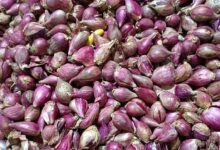 Bawang Putih Tembus Rp45.000 saat Harga Cabai dan Bawang Merah Mulai Turun