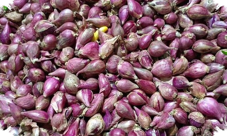 Bawang Putih Tembus Rp45.000 saat Harga Cabai dan Bawang Merah Mulai Turun