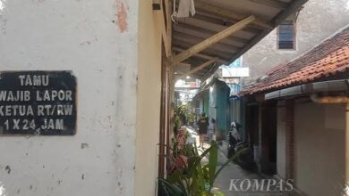 3 Cara Mengurangi Barang di Rumah agar Pikiran Tak Terus Terbebani