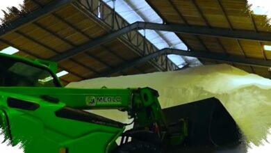 Balon Bahan Kimia Mengarah ke Data Center Amsterdam, Sengketa Energi Makin Tajam