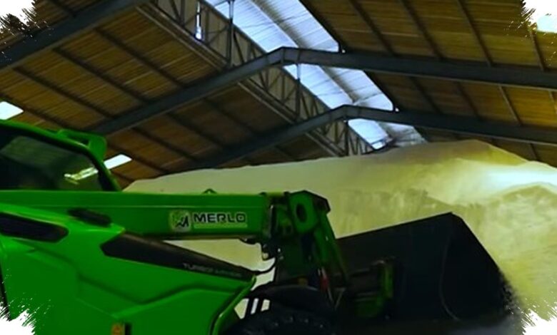 Balon Bahan Kimia Mengarah ke Data Center Amsterdam, Sengketa Energi Makin Tajam