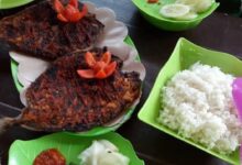 DNA Mengungkap Ikan Jingga Banyuwangi sebagai Spesies Baru, Beda 3,1 Persen dari Kerabatnya