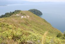 Hutan Alami di Danau Toba Susut 29 Persen, PLTA Ikut Mengubah Dinamika Air