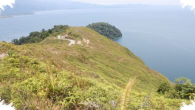 Hutan Alami di Danau Toba Susut 29 Persen, PLTA Ikut Mengubah Dinamika Air