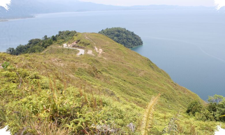 Hutan Alami di Danau Toba Susut 29 Persen, PLTA Ikut Mengubah Dinamika Air