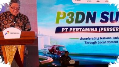 Status KEK Tak Dicabut Meski PFII Berbagi Zona, Pemerintah Masih Pilih Lokasi