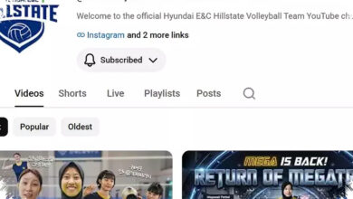 28.000 Pengikut Baru dalam 30 Hari, Efek Megawati Angkat YouTube Hyundai Hillstate