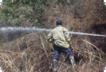 Api Dekat Permukiman, Kebun Bambu 500 Meter Persegi di Lembang Hangus