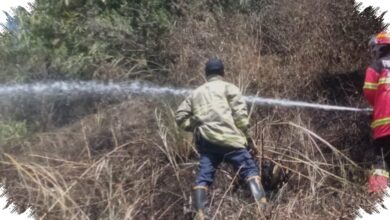 Api Dekat Permukiman, Kebun Bambu 500 Meter Persegi di Lembang Hangus