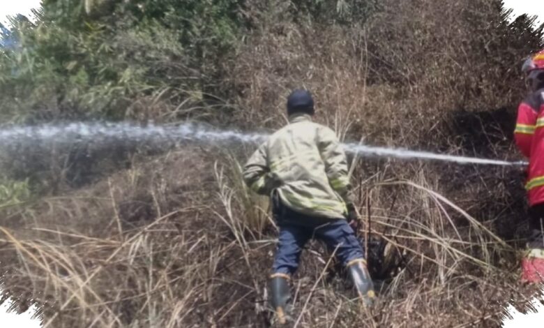 Api Dekat Permukiman, Kebun Bambu 500 Meter Persegi di Lembang Hangus