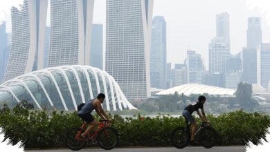 Tarif ke Singapura Bisa Turun ke Rp1,1 Juta, Pasar Indonesia Kini Nomor Dua