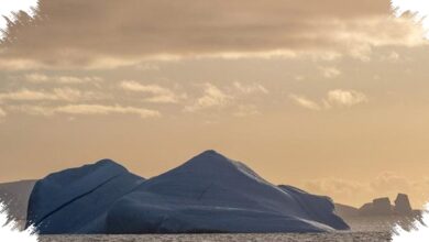 Saat Iran Menyentuh 52,7°C, Antartika Membeku hingga -84,1°C pada Periode yang Sama