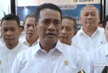 100.000 Hektare Tebu Tua Akan Dibongkar Tiap Tahun Demi Gula Putih dalam 2 Tahun