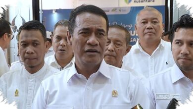 100.000 Hektare Tebu Tua Akan Dibongkar Tiap Tahun Demi Gula Putih dalam 2 Tahun