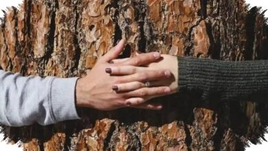 5 Sifat Cancer saat Jatuh Cinta, Setia tetapi Rentan Terluka oleh Sikap Pasangan
