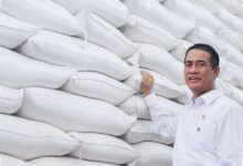 Stok Beras 5,2 Juta Ton Melewati Kebutuhan Kemarau, Pemerintah Siapkan Penyaluran