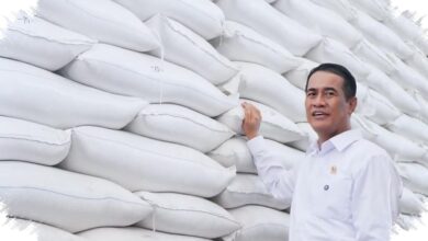 Stok Beras 5,2 Juta Ton Melewati Kebutuhan Kemarau, Pemerintah Siapkan Penyaluran
